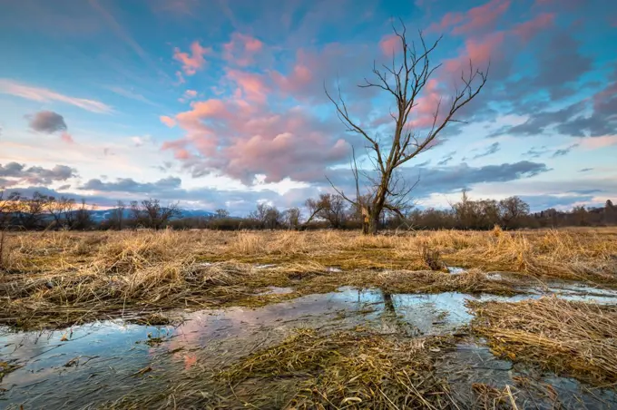 Sunset over the wetland of river Turiec in Slovakia.