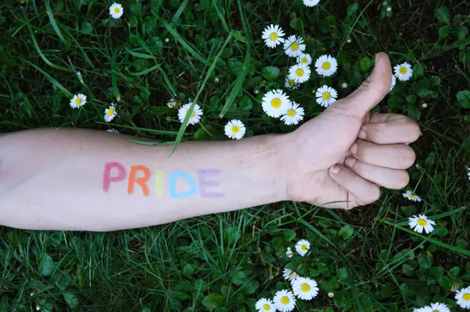 arm of a man painted with the word pride in the colors of the lgtbi flag stretched over a lawn full of daisies, making the ok symbol.