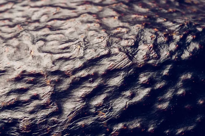 Detail photo of an avocado skin. Brown textured skin of an avocado fruit.