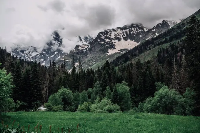 Elk meadow in the Dombai mountains