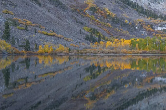 Fall, Parker Lake, Ansel Adams Wilderness, California