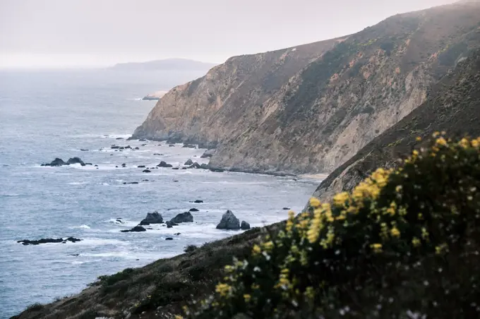 Large Cliffs Towering Over Ocean On Foggy Day at Point Reyes