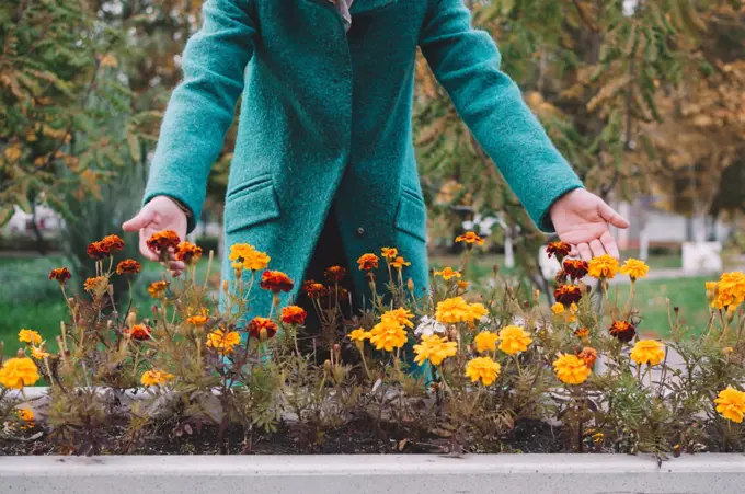 Girl in blue coat leans over orange and red autumn marigolds