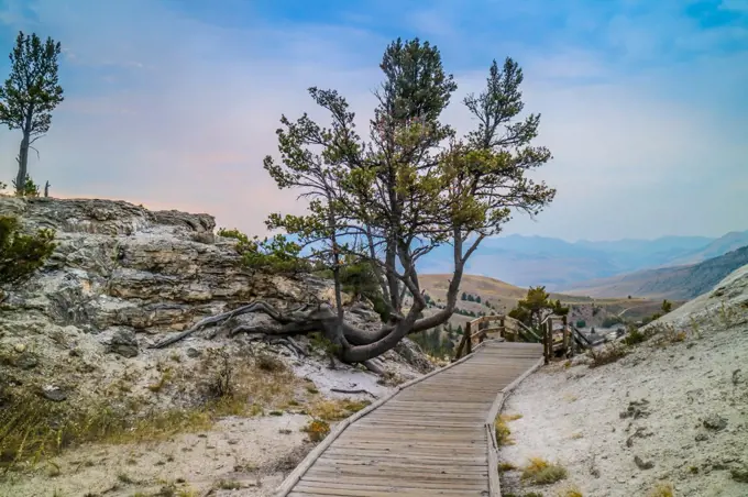 A view of nature in Yellowstone National Park, Wyoming