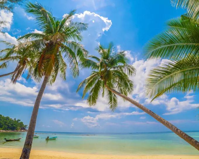 Beautiful tropical island beach, summer nature scene beach, blue