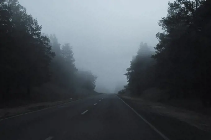 The road in the foggy forest