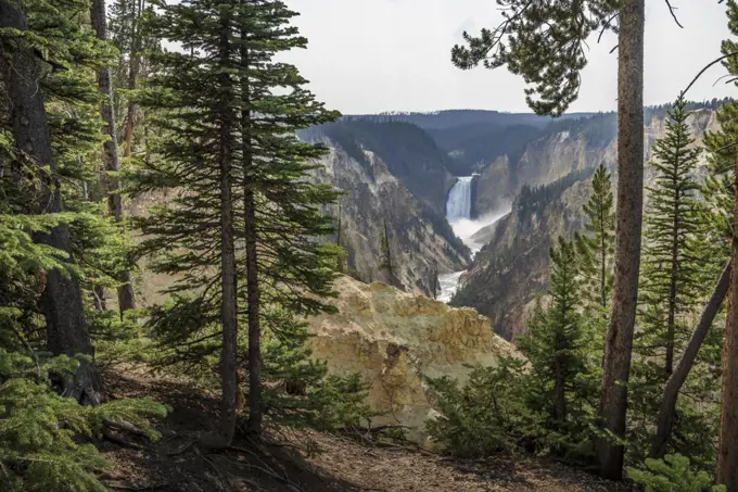 Upper Yellowstone Falls in the Grand Canyon of the Yellowstone.