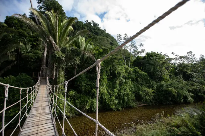 Wooden swing rope bridge over river in the Belize rainforest