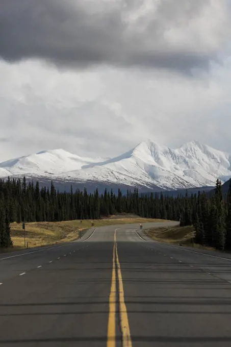 Alaska Highway Denali National Park