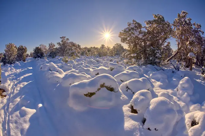 Grand Canyon in a Winter Wonderland