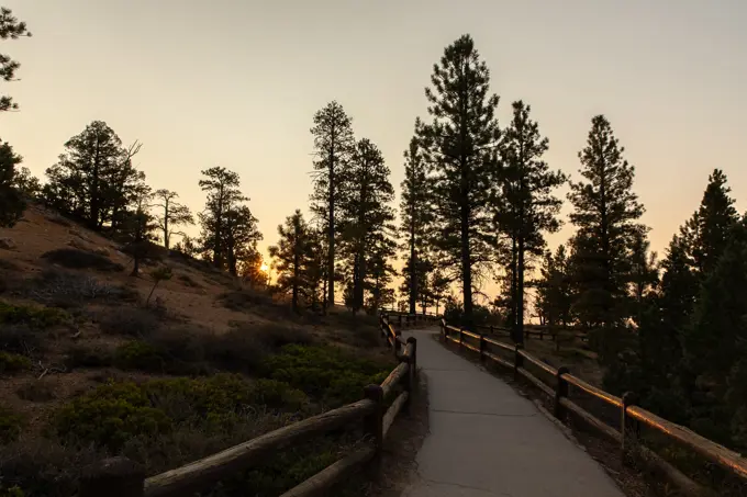 Pathway at Bryce Canyon National Park