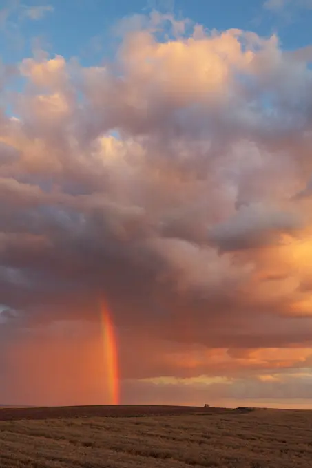 Rainbow in alentejo Portugal  agriculture