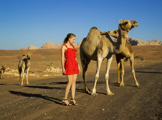 Young woman in red dress stand in Dubai desert with wild camels