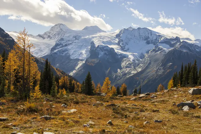 Glacier, Mountains and Golden Larch, British Columbia, Canada