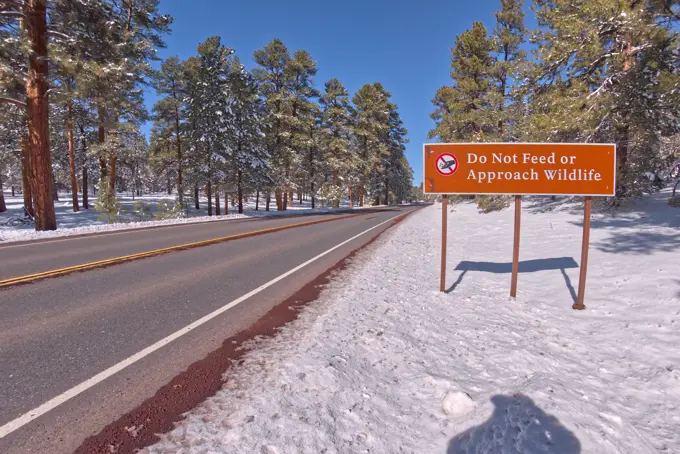 Warning sign at Grand Canyon to not feed wildlife