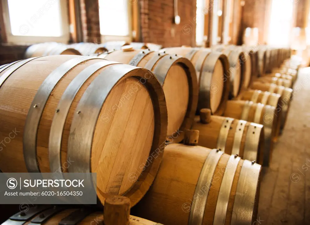 wine barrels in cellar