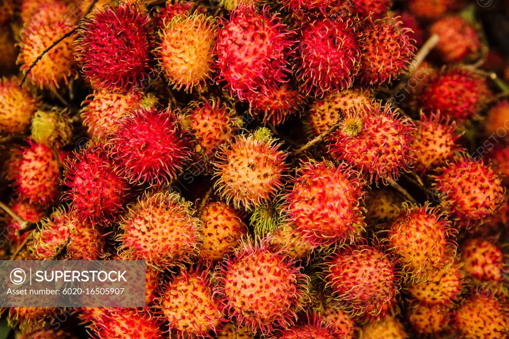 Rambutan fruit Vietnam, Southeast Asia