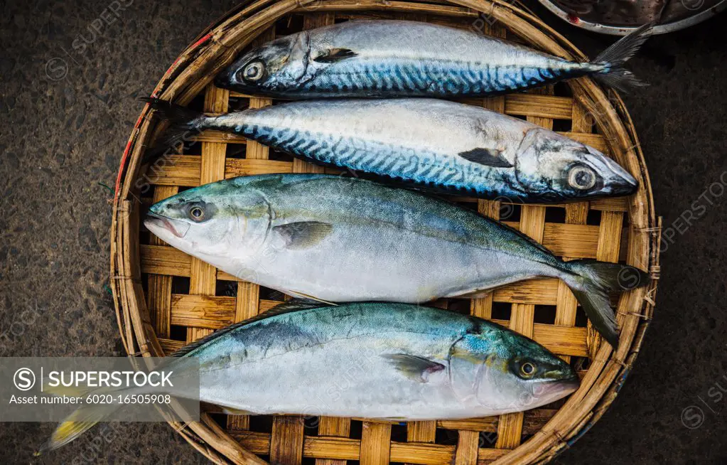 Fresh fish in a basket at a fish market, Vietnam, Southeast Asia