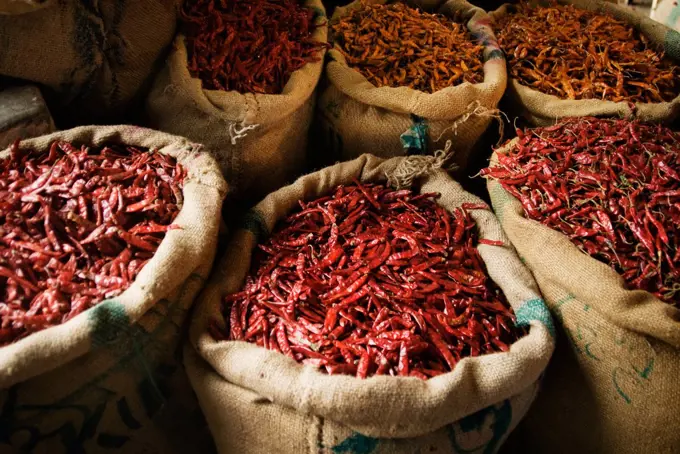 Dried chili peppers for sale in the spice market, Delhi, India