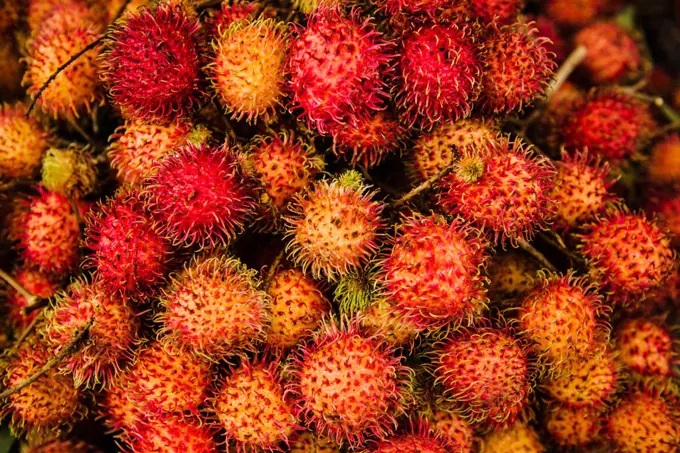 Rambutan fruit Vietnam, Southeast Asia