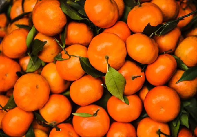 mandarin oranges for sale at a market, Vietnam, Southeast Asia