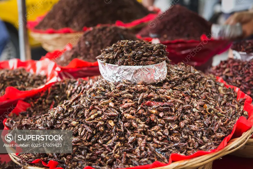 Fried grasshoppers at a market stall in Oaxaca, Mexico