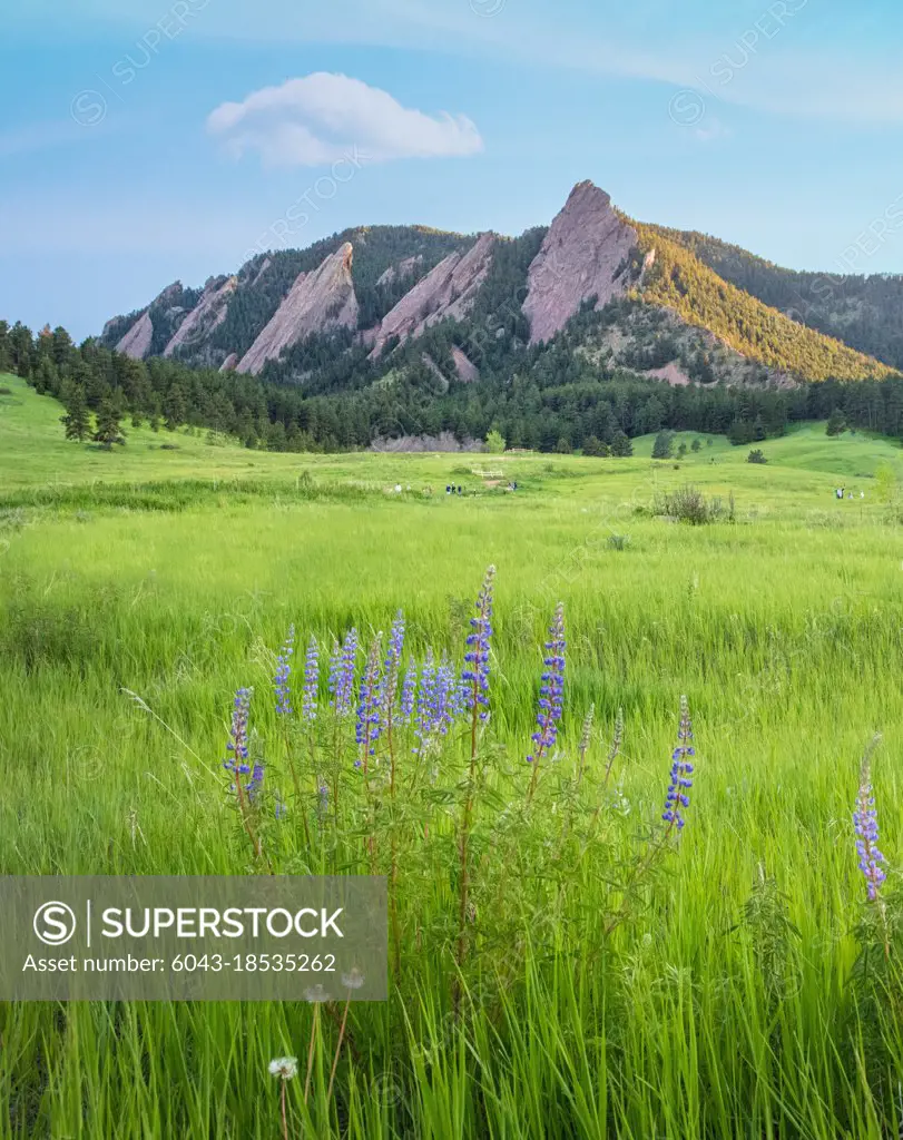 Flatirons Landscape in Boulder, Colorado, USA    