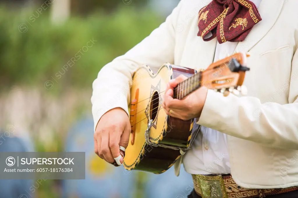 Mariachi guitar at the concert close up