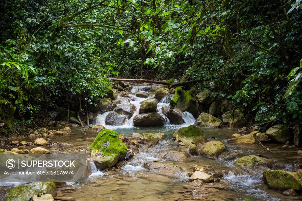 Tropical mountain river in the jungle at day