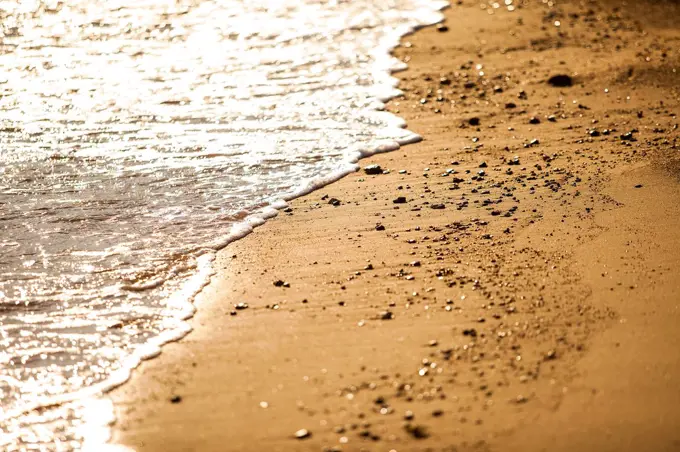 Seashore sand with water close up at sunset