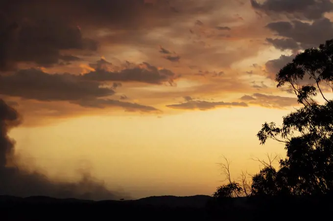 Gum Trees and clouds in bush fire smoke at sunset in The Blue Mountains in Australia