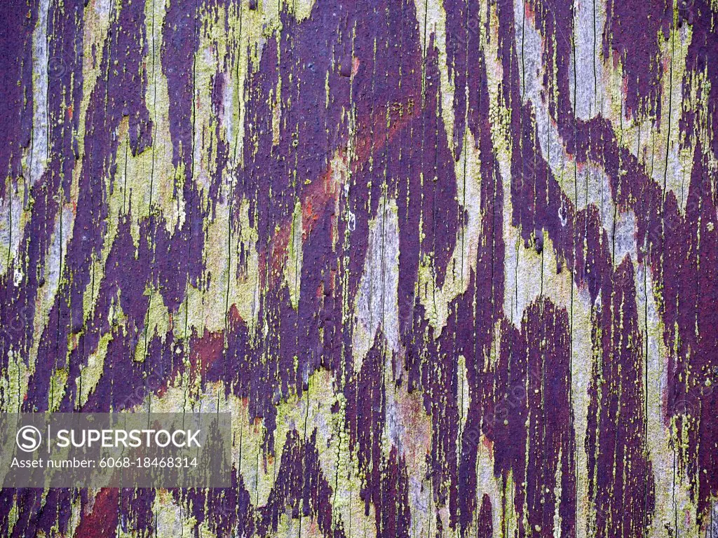 FAVERSHAM, KENT/USA - MARCH 29 : Peeling paintwork on an old wooden fence in Faversham Kent on March 29, 2014