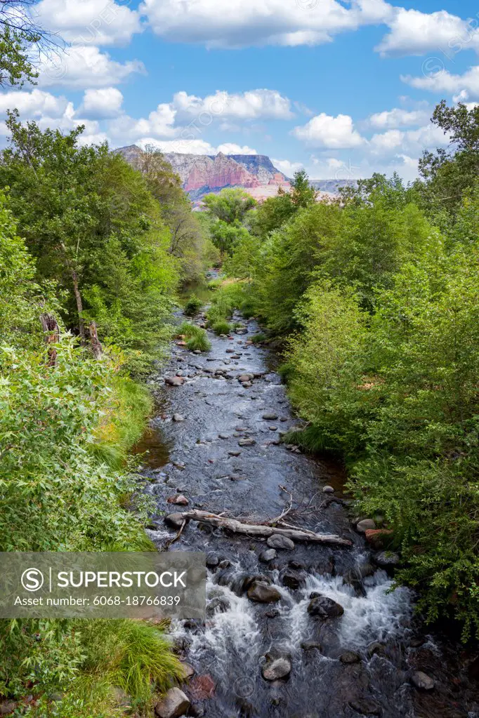 View of Oak Creek near Sedona in Arizona