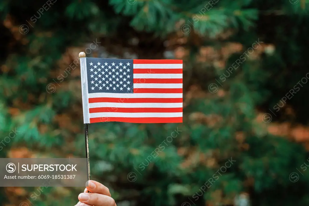 Flag Day with american flag in sunny day Independence Day concept