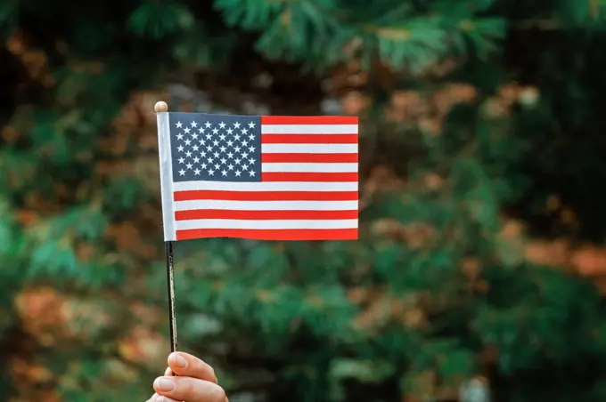 Flag Day with american flag in sunny day Independence Day concept