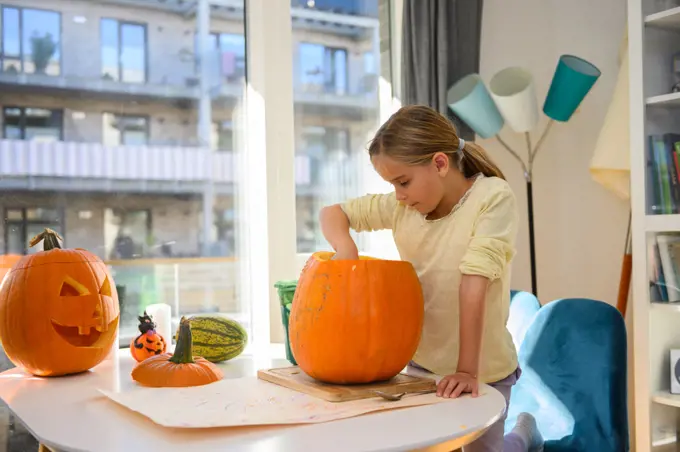 Cute Caucasian girl around 8 years old, cutting out a pumpkin for Halloween. She is sitting inside, cutting out the pumpkin af the dinner table. It is a sunny autumn day outside