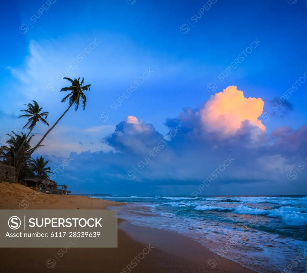 Sunset on tropical beach. Sri Lanka