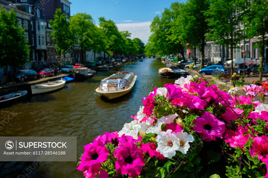 Amsterdam canal with passing boats view over flowers on the bridge. Focus on flowers. Amsterdam, Netherlands