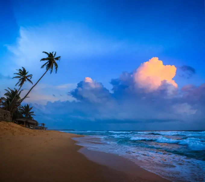 Sunset on tropical beach. Sri Lanka