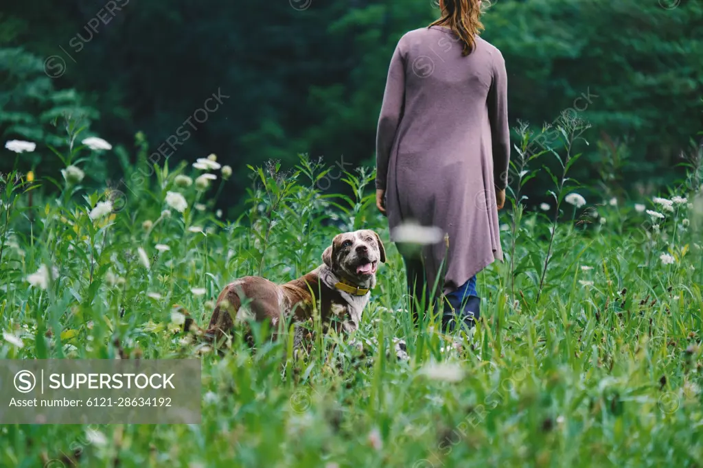 Young woman walking with pet dog through field of green wildflowers in spring Midwest landscape. People and pets lifestyle concept.