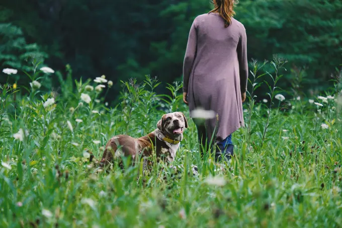 Young woman walking with pet dog through field of green wildflowers in spring Midwest landscape. People and pets lifestyle concept.