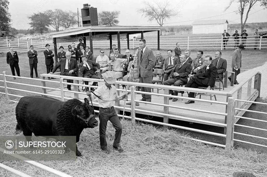 Trip to Oklahoma: President Kennedy with Senator Robert S. Kerr (Oklahoma) at the Kermac Angus Ranch, Poteau, Oklahoma. President John F. Kennedy visits Oklahoma Senator Robert Kerr. Senator Kerr (front row, far left); President Kennedy (front row, second from left, seated in rocking chair); Marshall 47th, Senator Kerr's black angus bull; others unidentified. Kermac Angus Ranch, Poteau, Oklahoma.