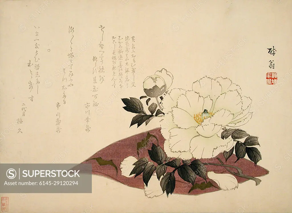 Camellia. Yabu Chōsui (Japan, active circa 1830-1864). Japan, 19th century. Prints; woodblocks. Color woodblock print; surimono, gold