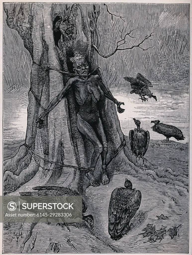 The naked body of a woman is strapped to a tree surrounded by vultures  waiting for her impending death. Wood engraving. - SuperStock