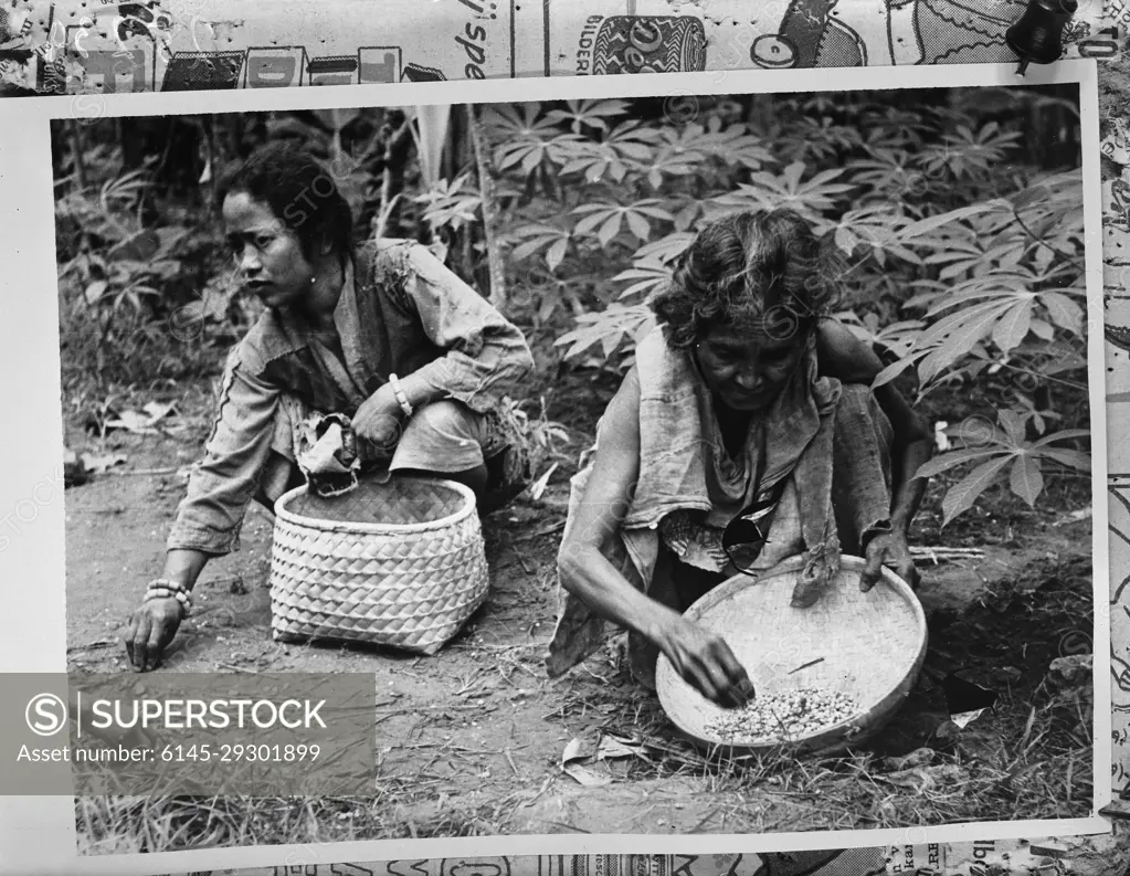 Anefo photo collection. Search rice granules on Madura (two). December 23, 1947. Madura