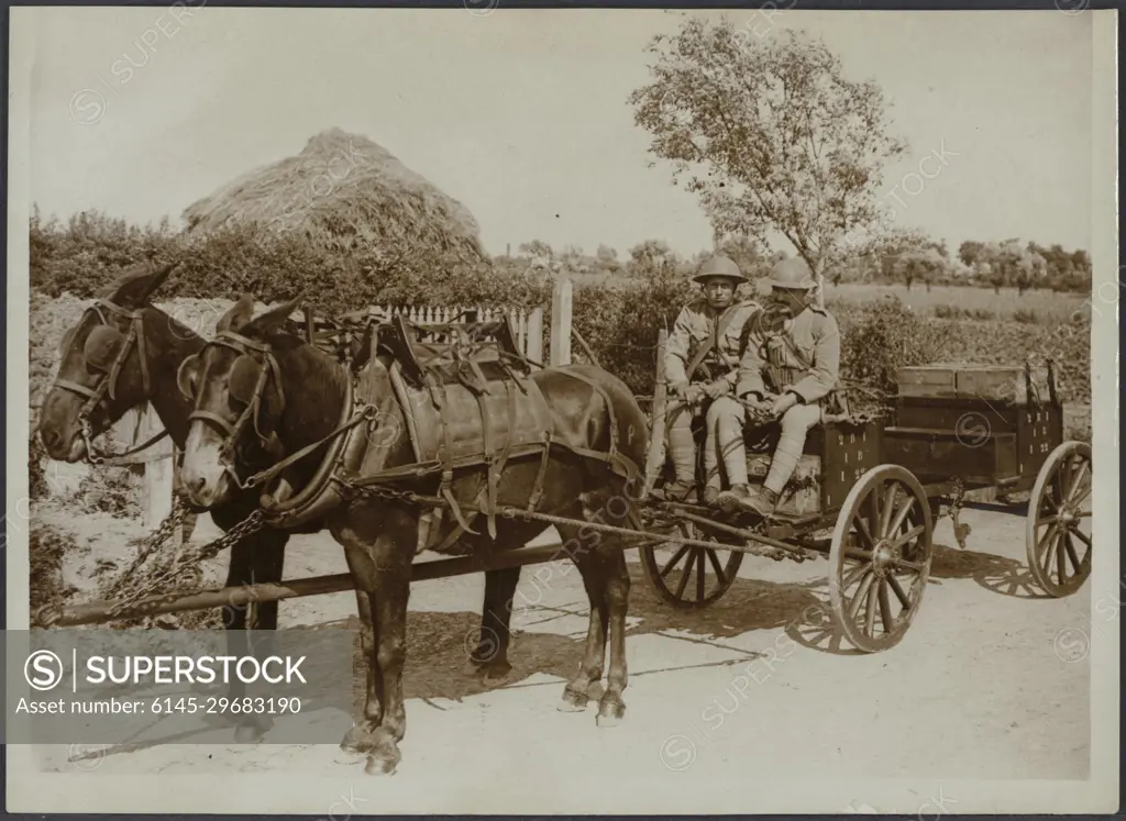 Photo collection First World War. The British Western Front