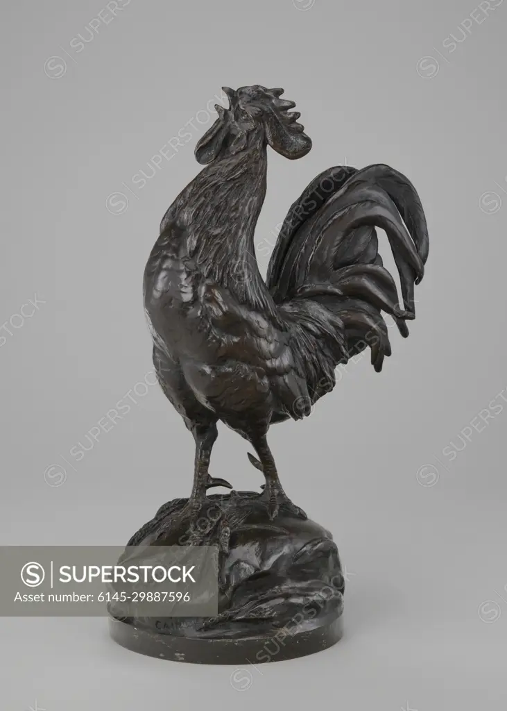 Super Model Chicken of the C