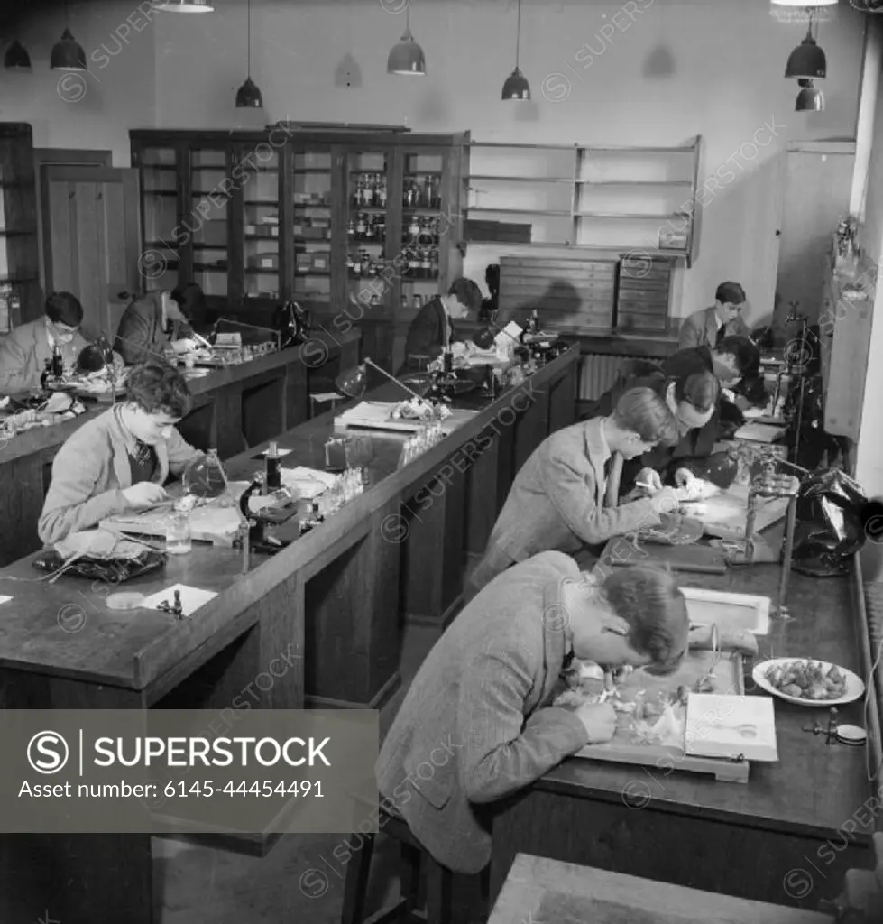 Catholic Public School- Everyday Life at Ampleforth College, York, England, UK, 1943 Boys study zoology in one of the laboratories at Ampleforth College. According to the original caption, many Ampleforth boys go on to become doctors.