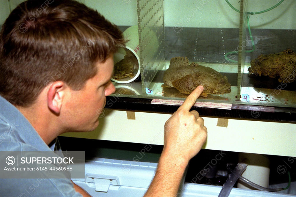 Toadfish in Outer Space