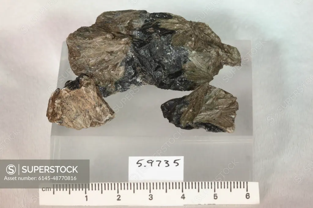 Johannsenite. minerals. Europe; Italy; Toscana Region; Campiglia Marittima